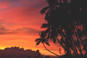 Photo Beach sunset