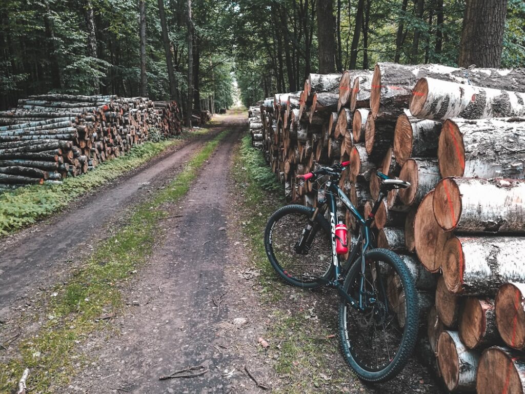 Photo Timber logging